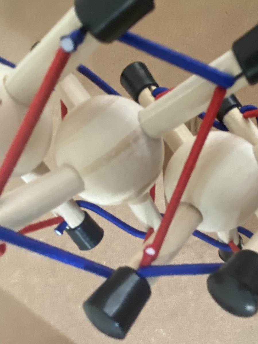 Detalhe das vértebras suspensas pelos elásticos